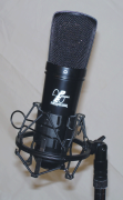 PEWAVES Pro Recording Condenser Mic. New in case W/ accessories (picture missing)